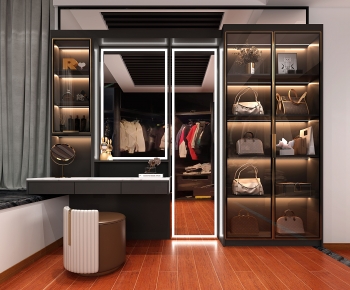 Modern Clothes Storage Area-ID:214934111