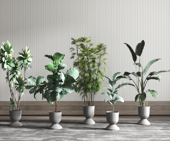Modern Ground Green Plant Potted Plants-ID:727961068