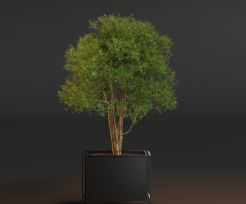 Modern Ground Green Plant Potted Plants-ID:261053099
