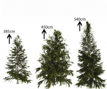 Modern Tree-ID:109652043