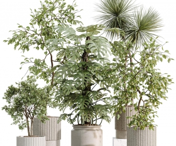 Modern Ground Green Plant Potted Plants-ID:731890281