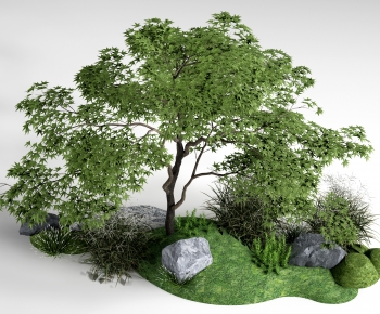 Modern Plant Pile-ID:895035031