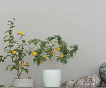 Modern Ground Green Plant Potted Plants-ID:227150925