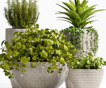 Modern Potted Green Plant-ID:421613934