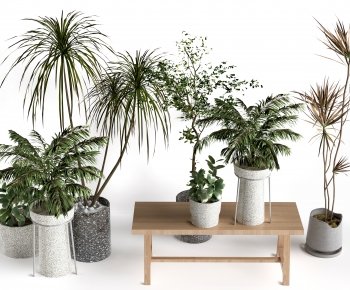 Modern Ground Green Plant Potted Plants-ID:153182985
