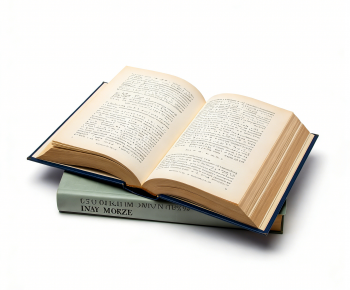 Modern Book-ID:861682897