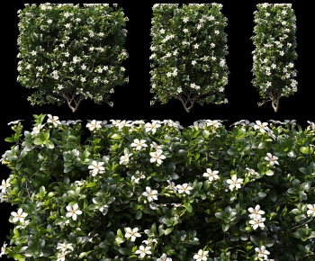 Modern Shrubbery-ID:402879785