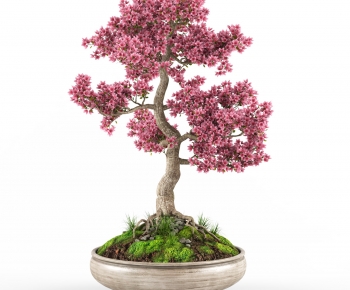 New Chinese Style Bonsai-ID:754554995