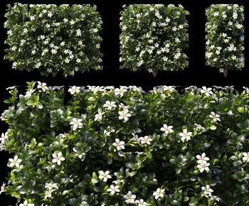 Modern Shrubbery-ID:858557946