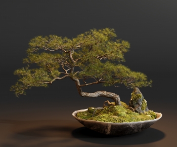 Modern Bonsai-ID:865271163