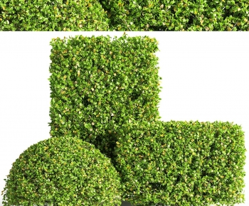 Modern Shrubbery-ID:727902895