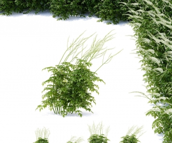Modern Flowers And Grass-ID:910944945