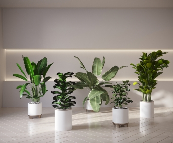 Modern Ground Green Plant Potted Plants-ID:932477001
