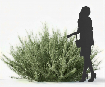 Modern Shrubbery-ID:441274884