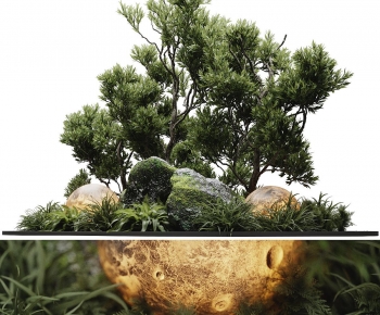 Modern Plant Landscaping-ID:302854067