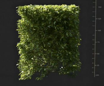 Modern Plant Wall-ID:866439348