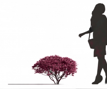 Modern Shrubbery-ID:957587001