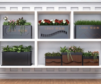 Modern Flower Bed, Flower Bowl, Flower Box-ID:683094986
