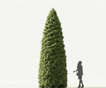 Modern Tree-ID:664943938