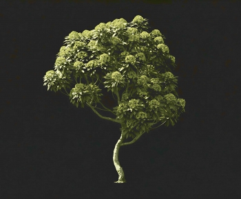 Modern Tree-ID:230650955