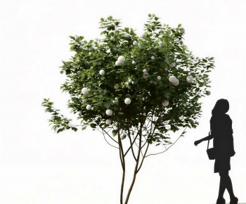 Modern Shrubbery-ID:596640188