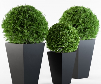 Modern Flower Bed, Flower Bowl, Flower Box-ID:488447909