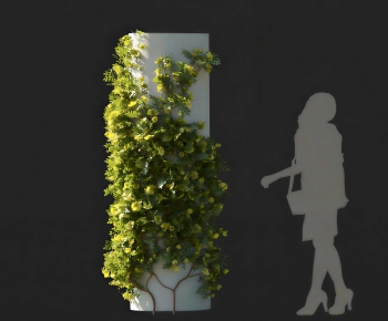 Modern Vine-ID:644230887