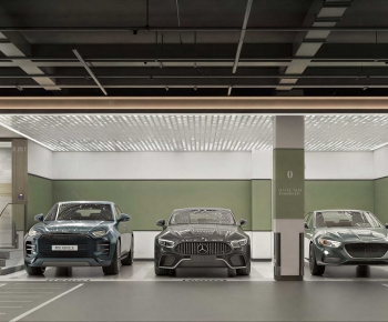 Modern Underground Garage-ID:313060361