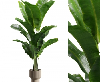 Modern Ground Green Plant Potted Plants-ID:257279921
