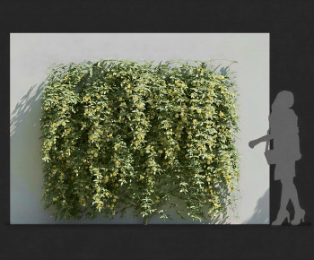 Modern Plant Wall-ID:807233106