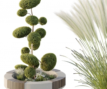 Modern Flower Bed, Flower Bowl, Flower Box-ID:814227105