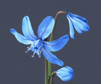 Modern Flowers And Grass-ID:131399627