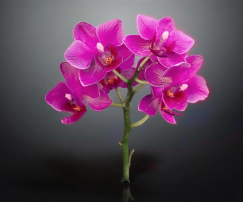 Modern Flowers And Grass-ID:982029473