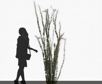 Modern Shrubbery-ID:703721014