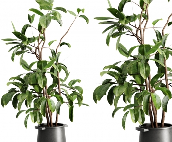 Modern Ground Green Plant Potted Plants-ID:394819973