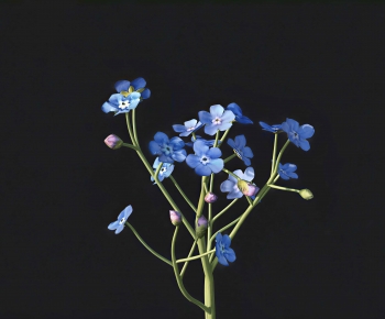Modern Flowers And Grass-ID:156409986