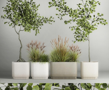 Modern Flower Bed, Flower Bowl, Flower Box-ID:917787086