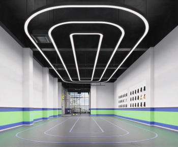 Modern Indoor Stadium-ID:557502033