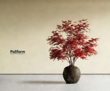 Wabi-sabi Style Ground Green Plant Potted Plants-ID:457906018