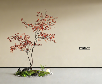 Modern Plant Landscaping-ID:584392072