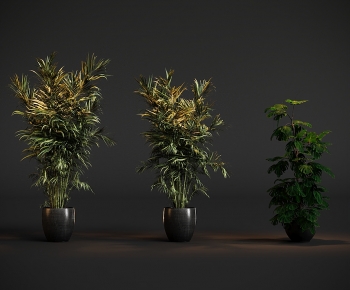 Modern Ground Green Plant Potted Plants-ID:328929413