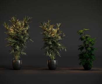 Modern Ground Green Plant Potted Plants-ID:223395115