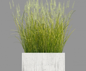 Modern Flower Bed, Flower Bowl, Flower Box-ID:586407903