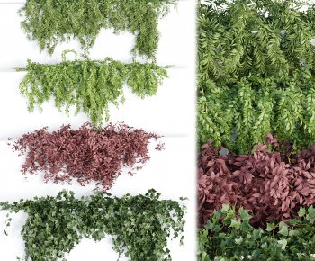 Modern Vine-ID:512290001
