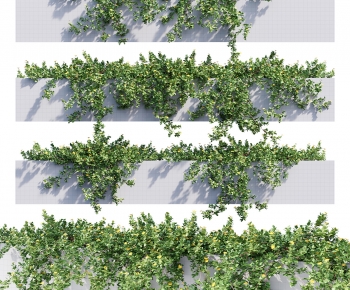 Modern Flower Bed, Flower Bowl, Flower Box-ID:983409941