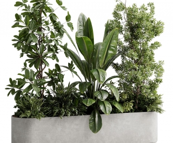 Modern Flower Bed, Flower Bowl, Flower Box-ID:116099122