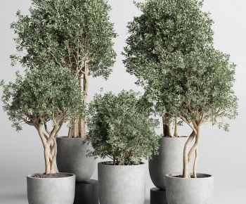 Modern Ground Green Plant Potted Plants-ID:607882984
