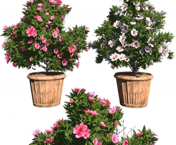 Modern Ground Green Plant Potted Plants-ID:617883922