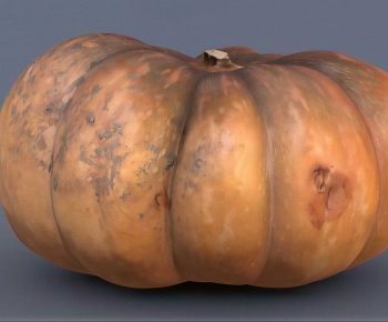 Modern Vegetables-ID:625534069