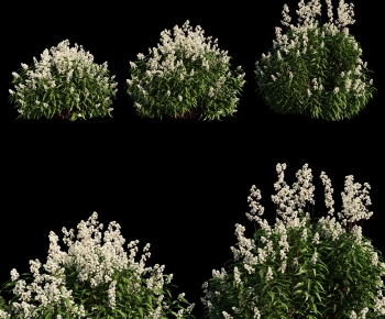 Modern Shrubbery-ID:845674996